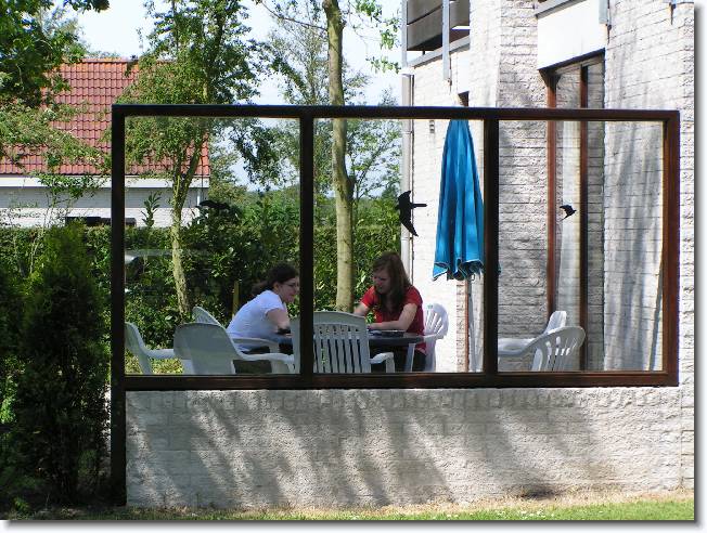 N�chstes Bild
