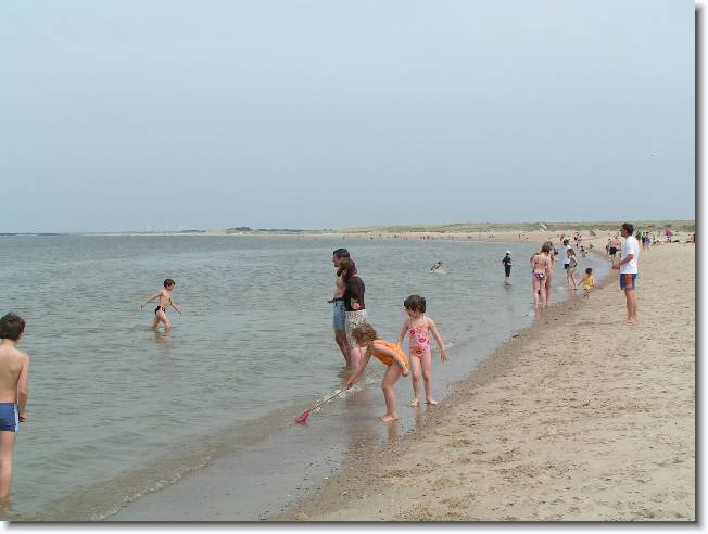 N�chstes Bild