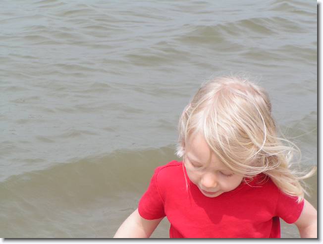 N�chstes Bild