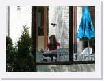 PICT0010
