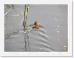 PICT0022