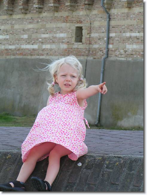 N�chstes Bild