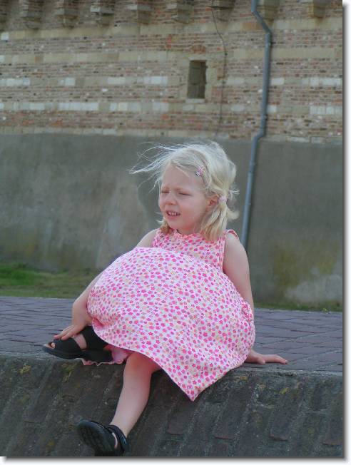 N�chstes Bild