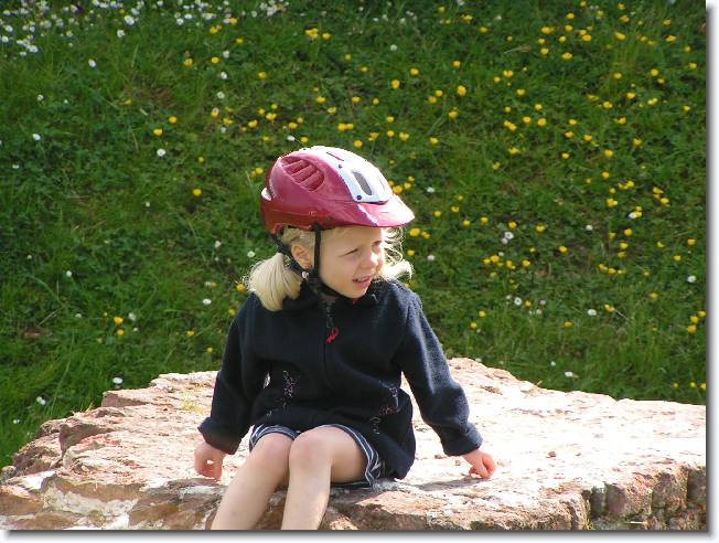 N�chstes Bild