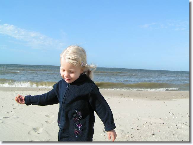 N�chstes Bild