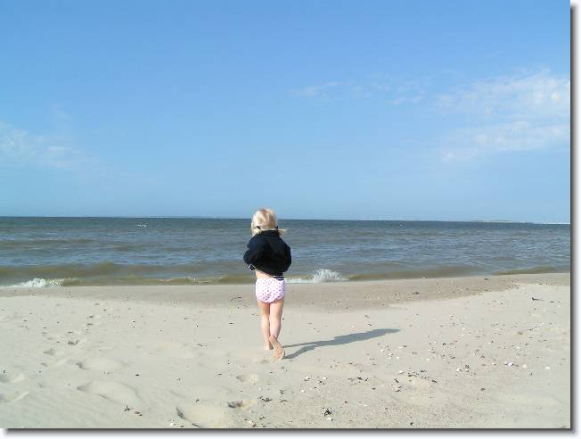 N�chstes Bild