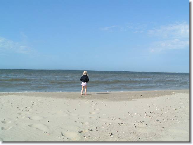N�chstes Bild