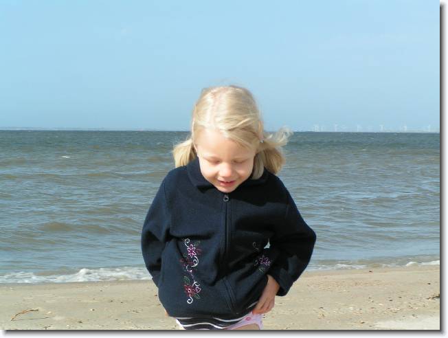 N�chstes Bild
