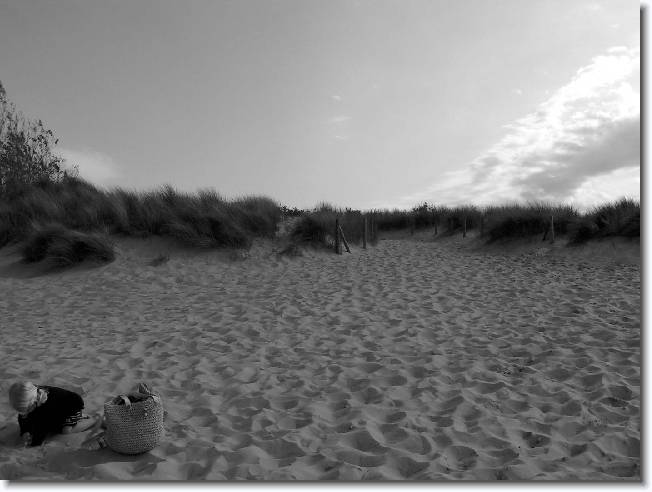 N�chstes Bild