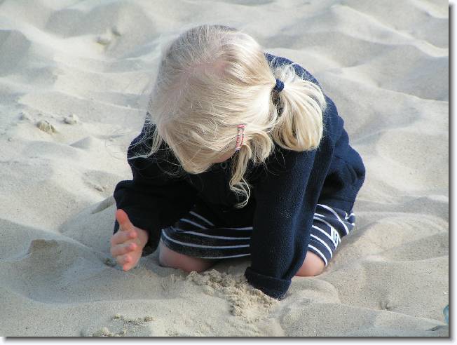 N�chstes Bild